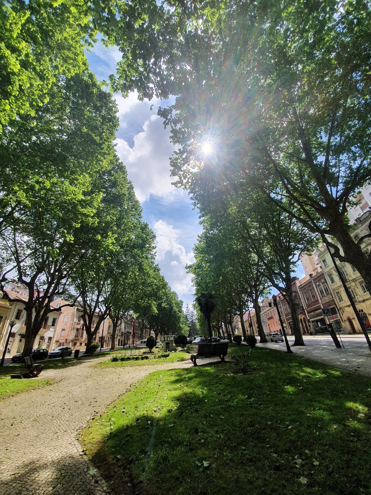 Avenida Sá da Bandeira - Image 1
