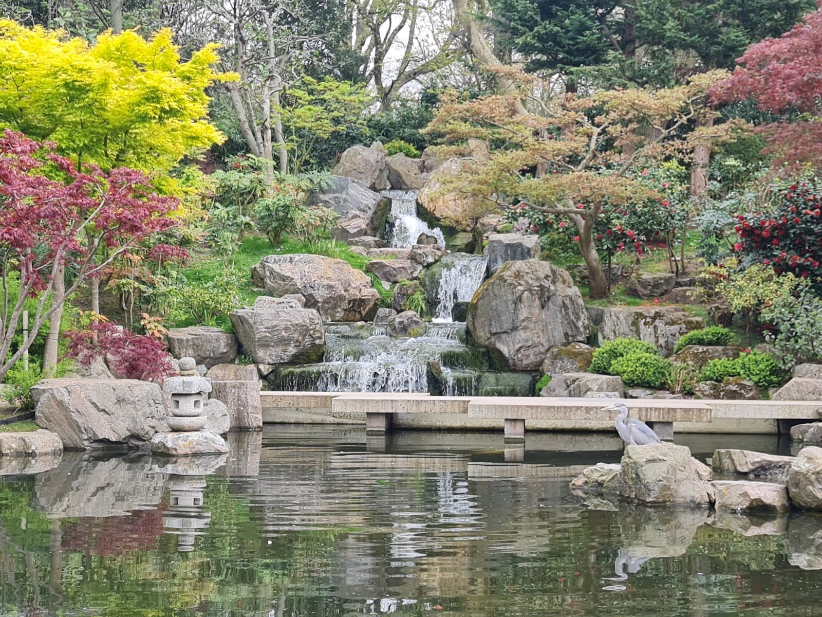 The Japanese Garden, Holland Park - Image 1