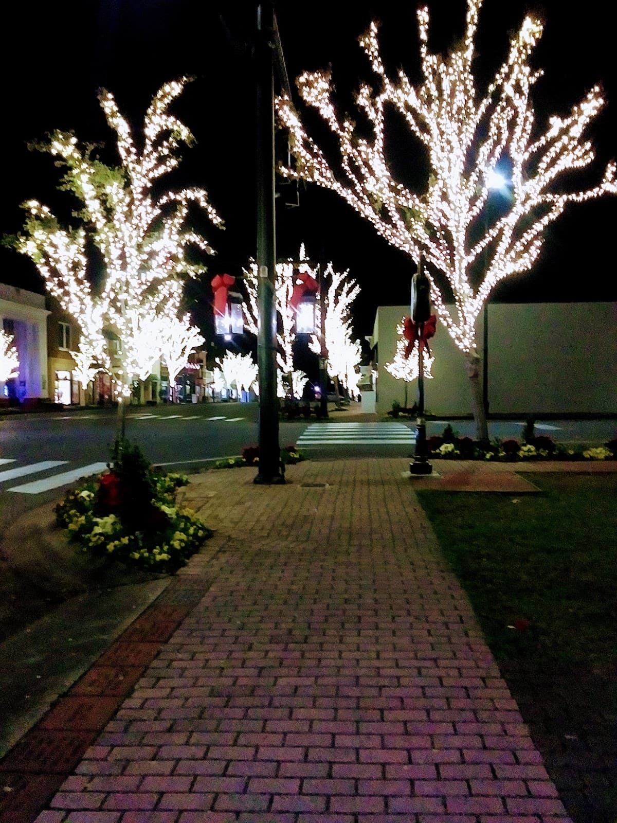 Downtown Fairhope - Image 1