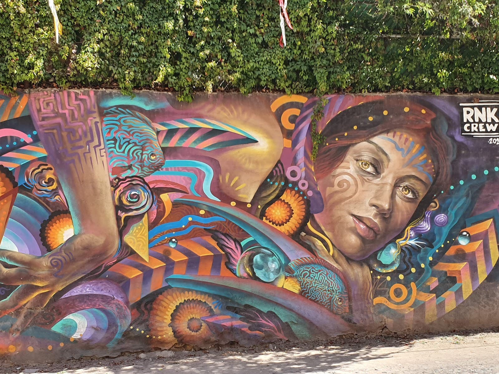 Colonia Guadalupe Murals - Image 1