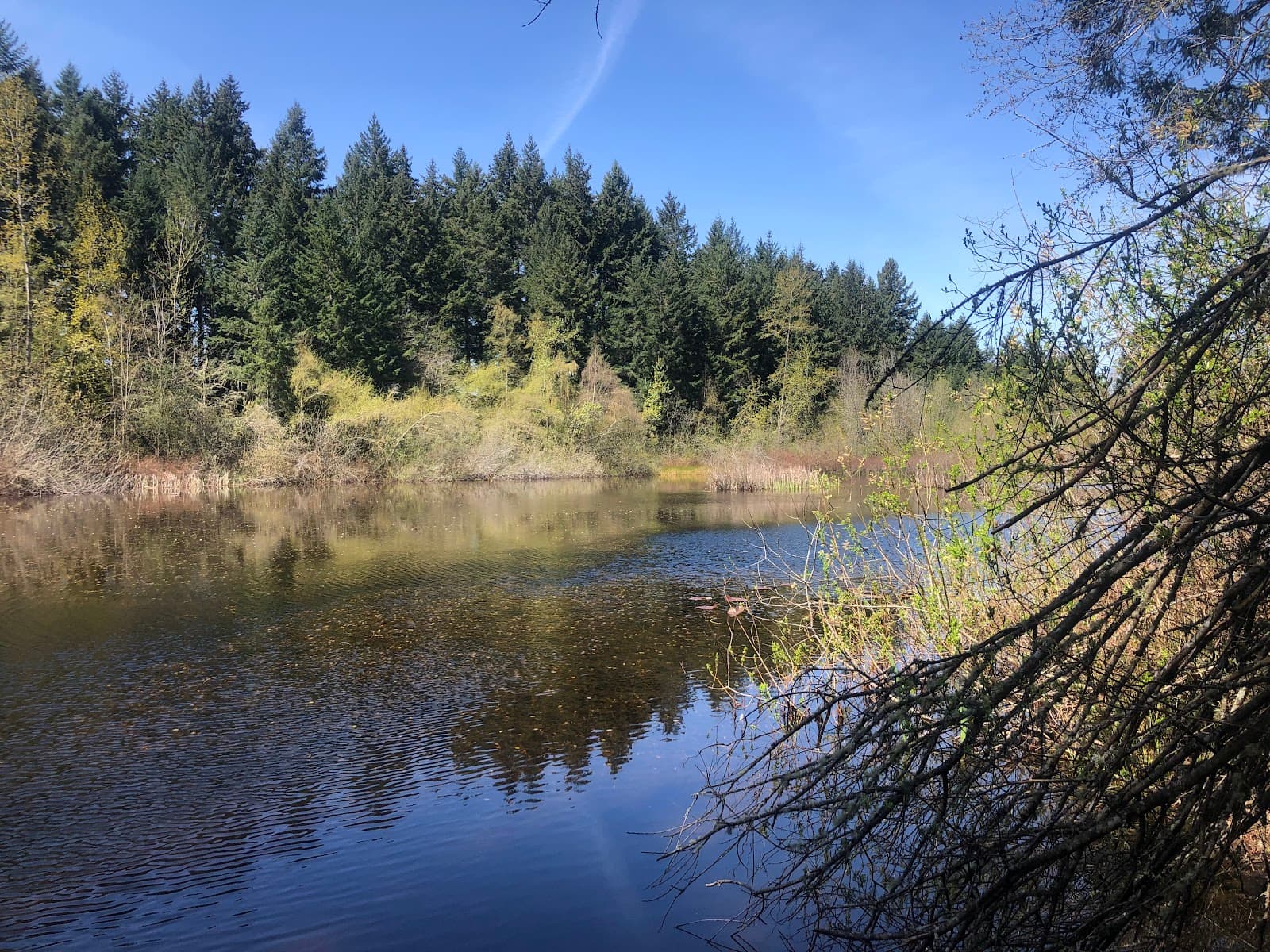 China Lake Park - Image 1