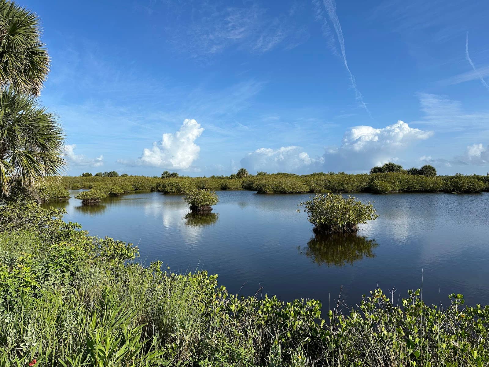 Abundant Bird and Fish Life