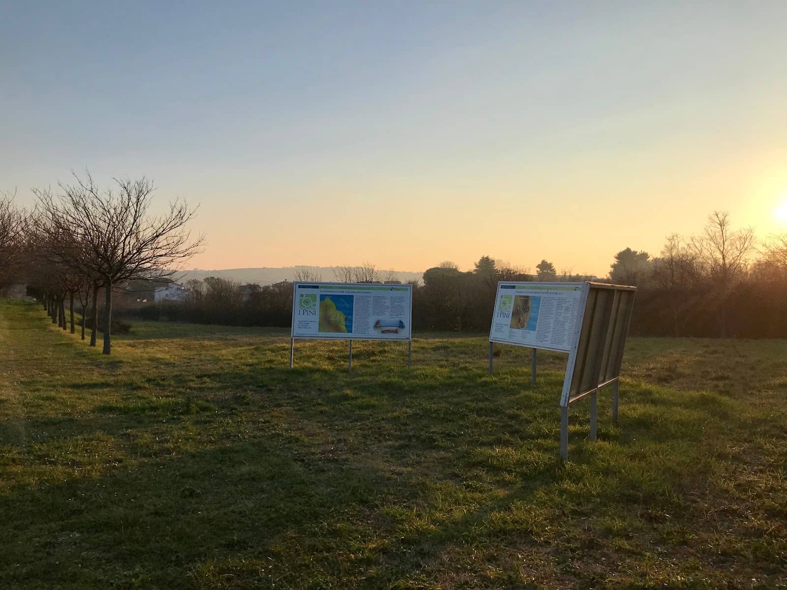 Picene Chariot Discovery