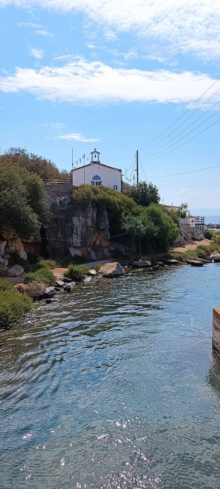 Vertical photo
