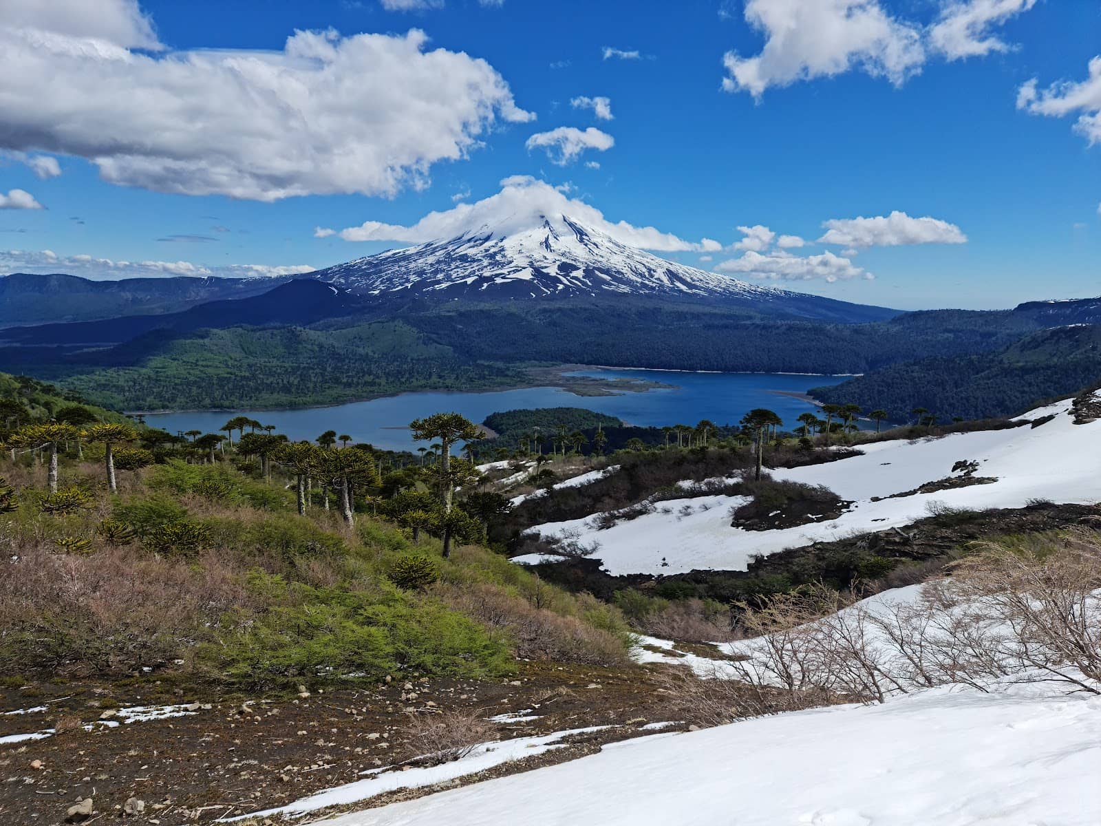 Volcán Llaima Views