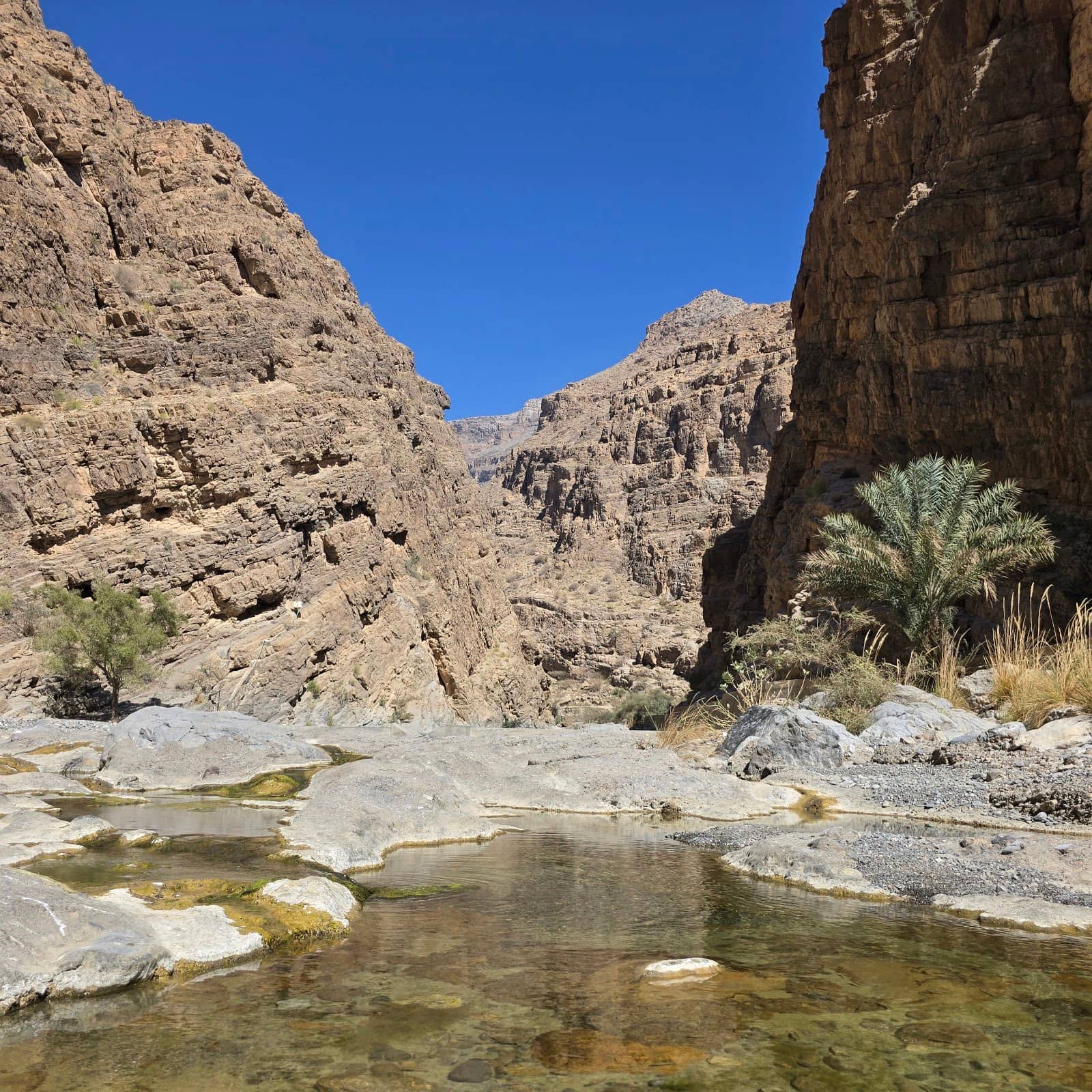 Challenging Trekking Experience