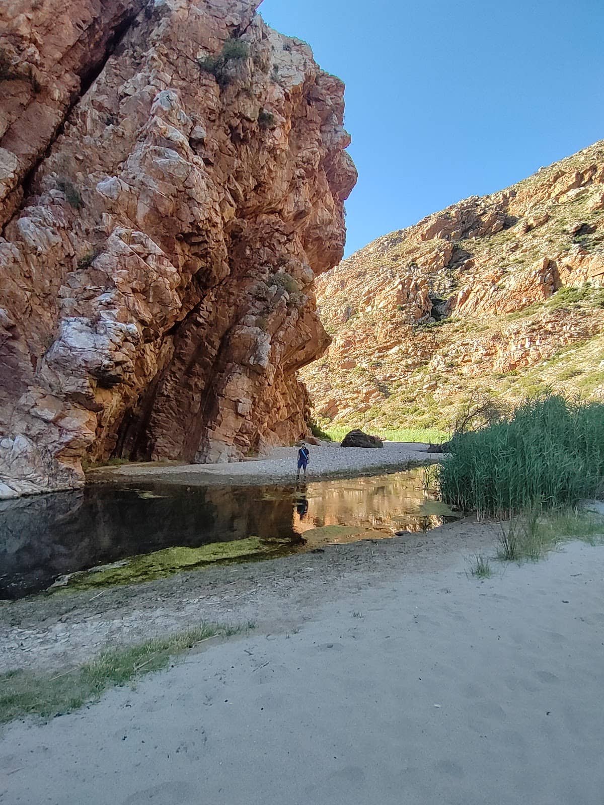 Peaceful River Trail