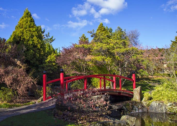 Royal Tasmanian Botanical Gardens - Image 1