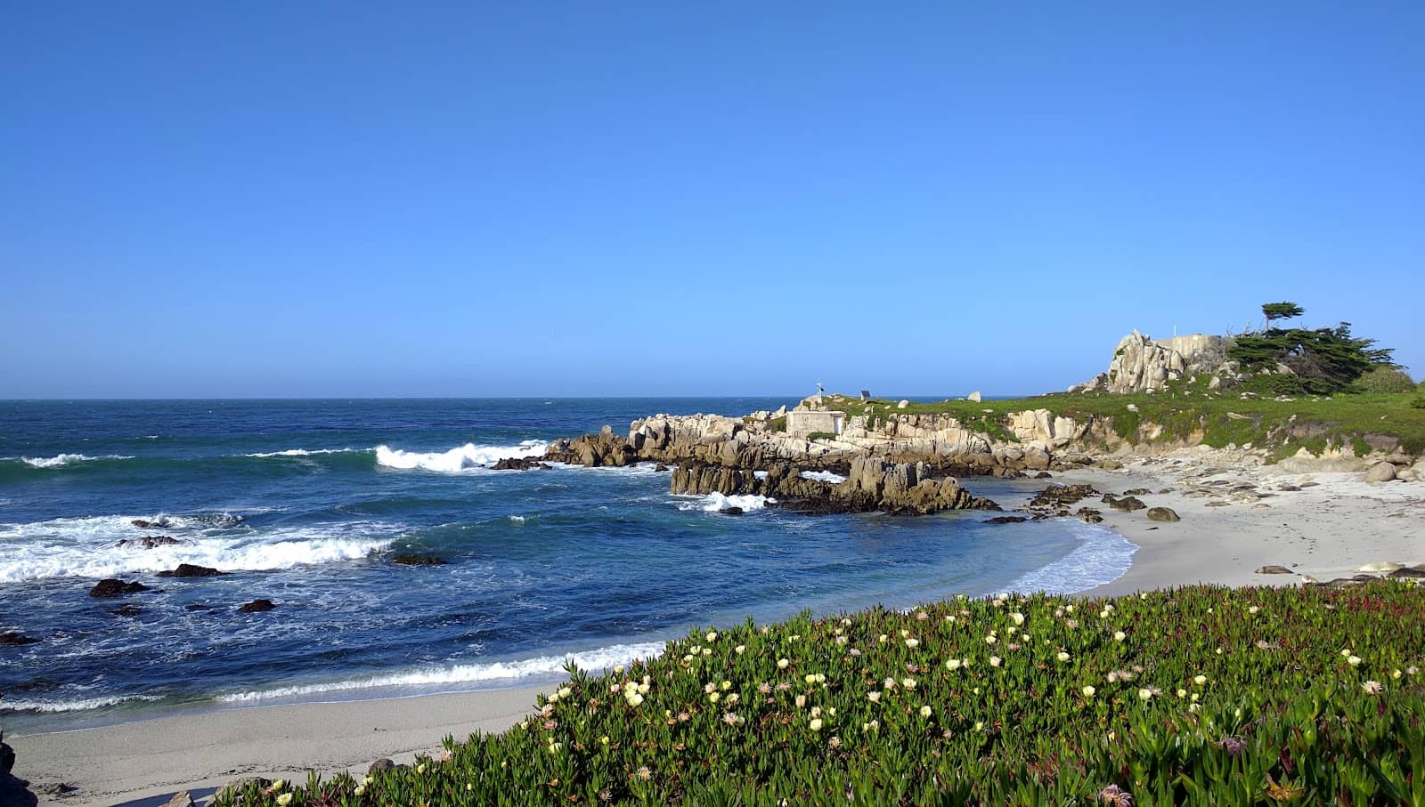 Marine Biology Research