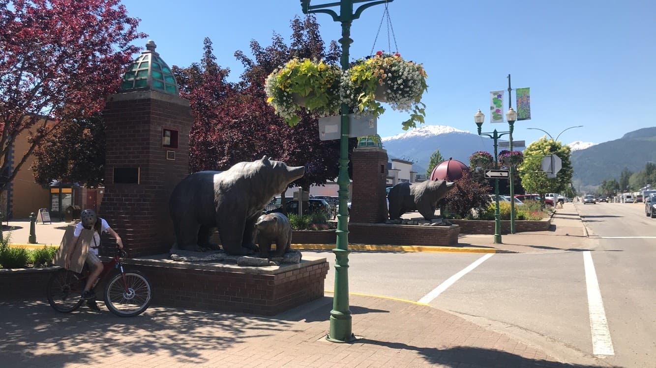 Grizzly Plaza - Image 1