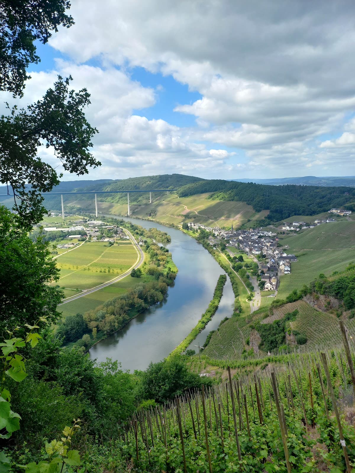 Erden Treppchen Vineyard - Image 1