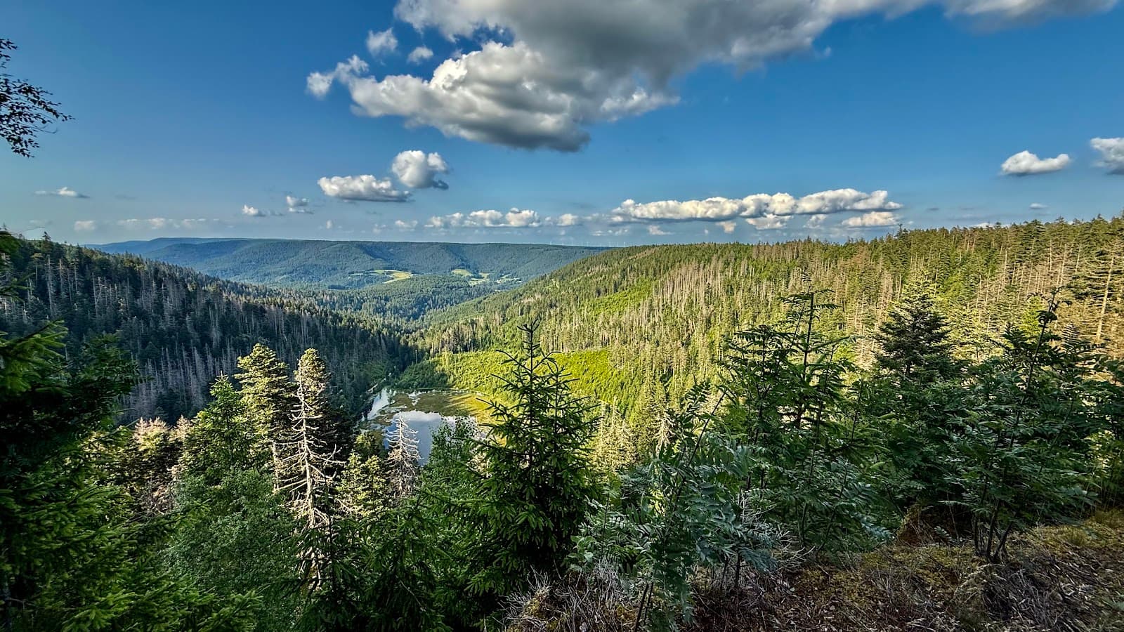 Black Forest National Park - Image 1