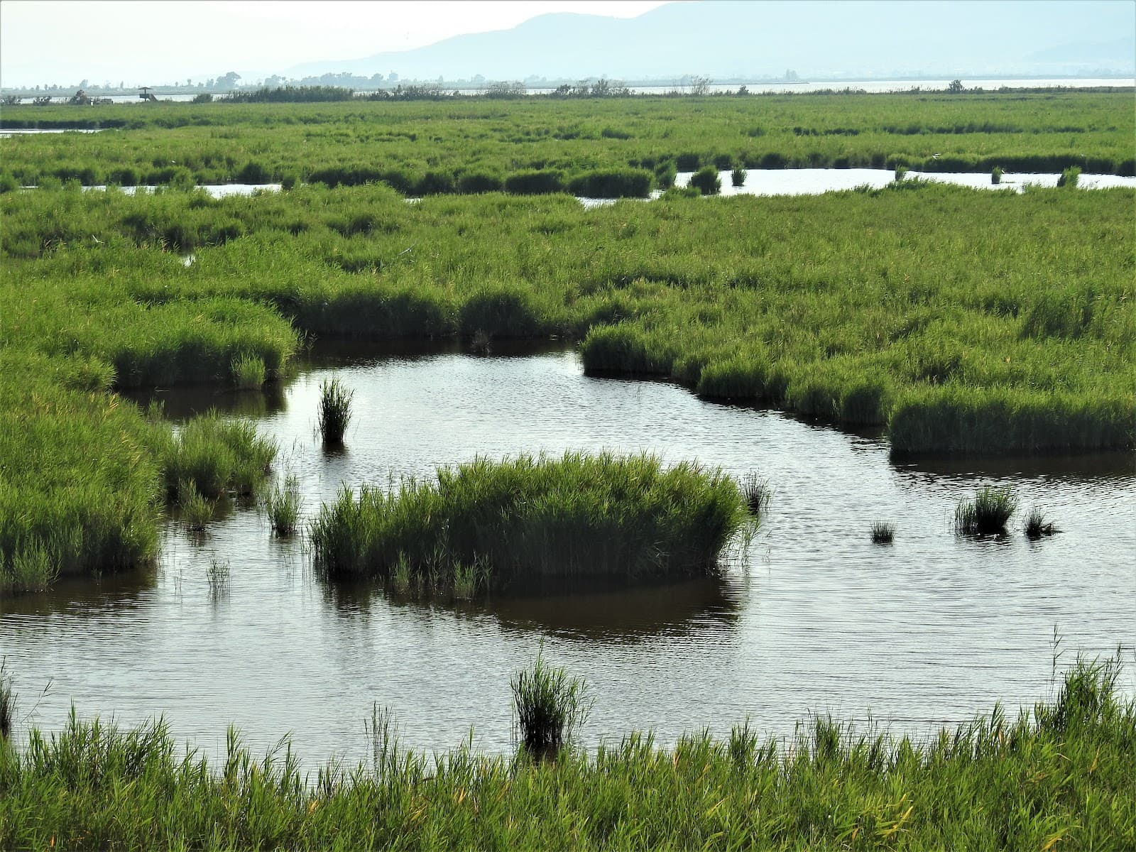 Encanyissada Lagoon - Image 1
