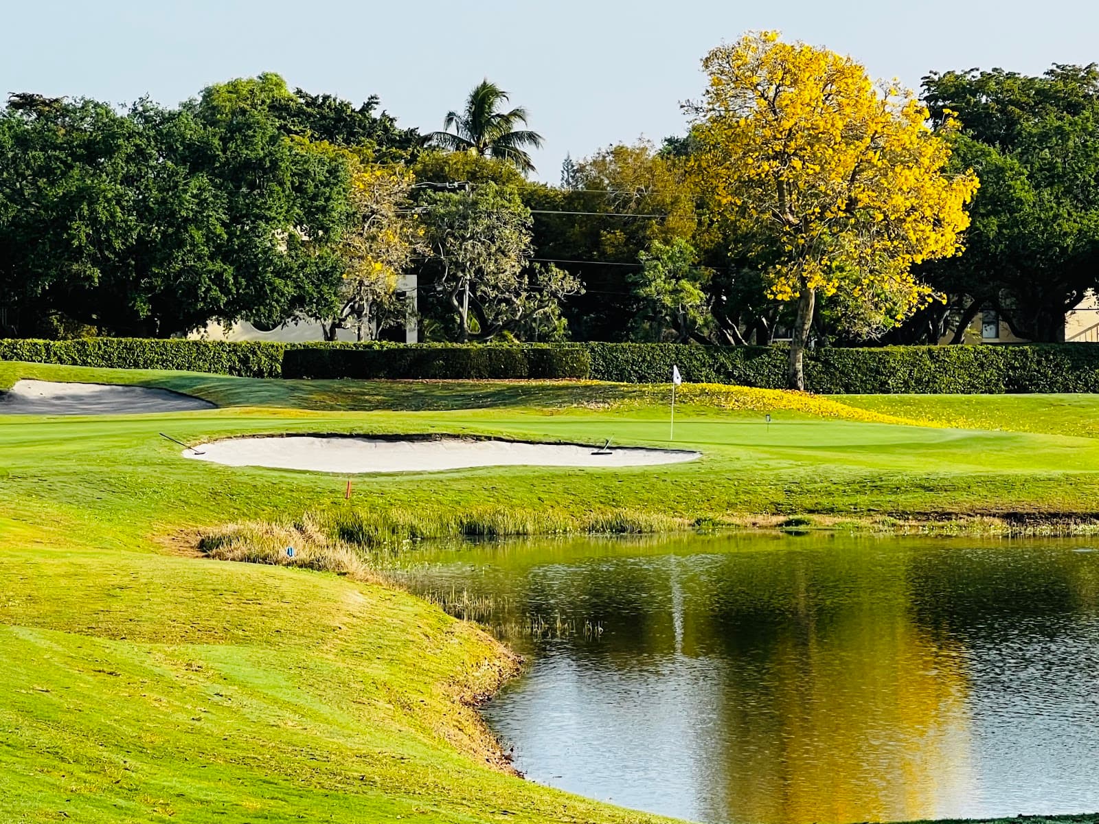 Grande Oaks Golf Club (Caddyshack site) - Image 1