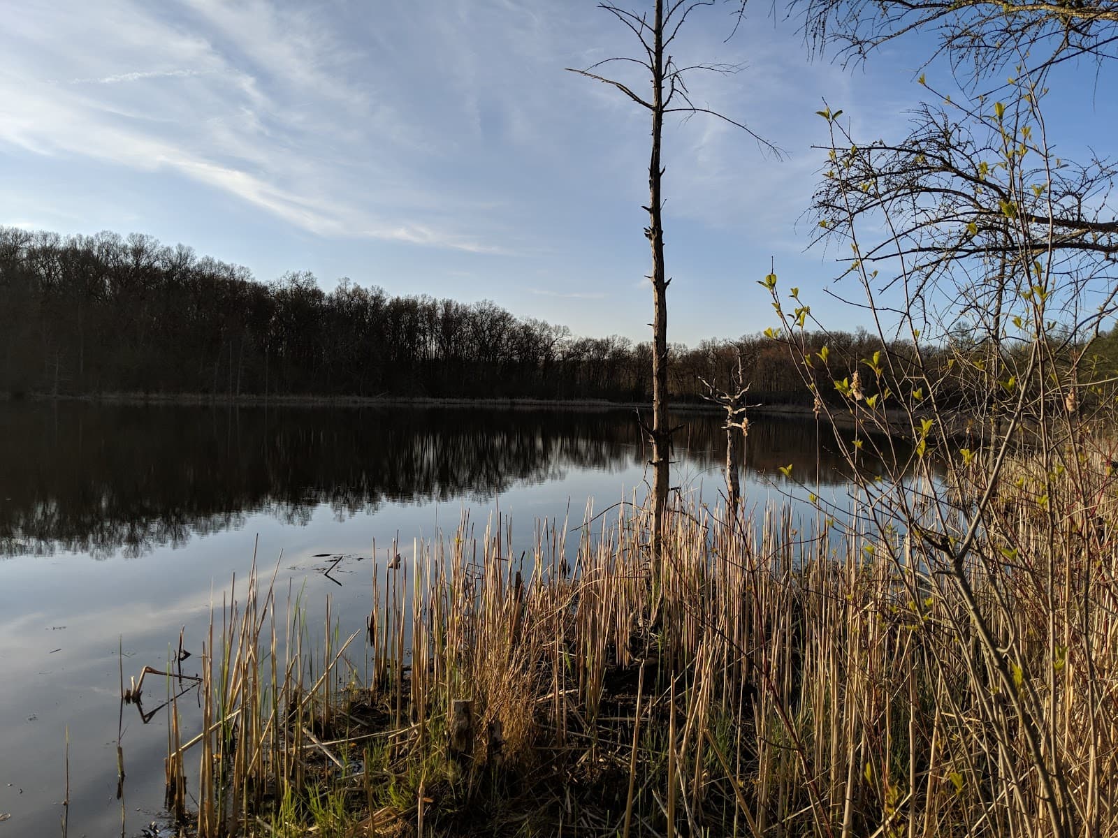 Ott Biological Preserve - Image 1