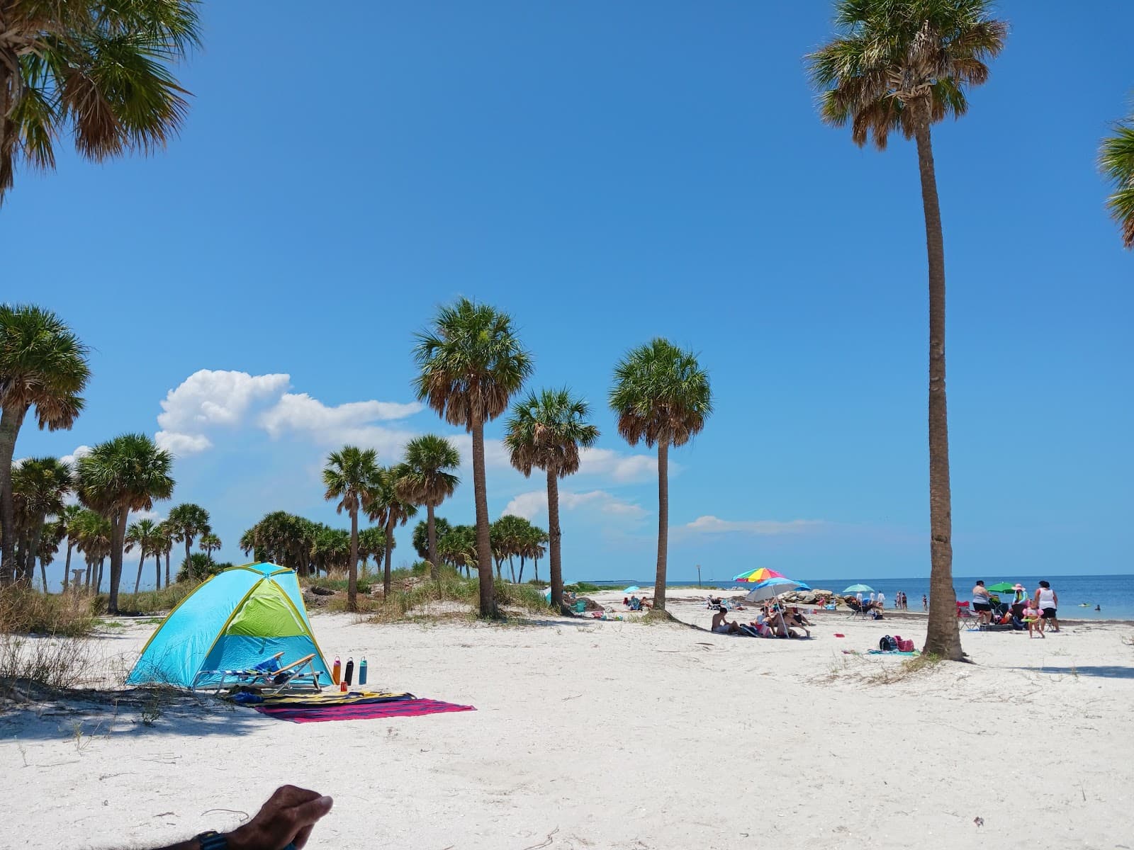 Fred Howard Park - Image 1