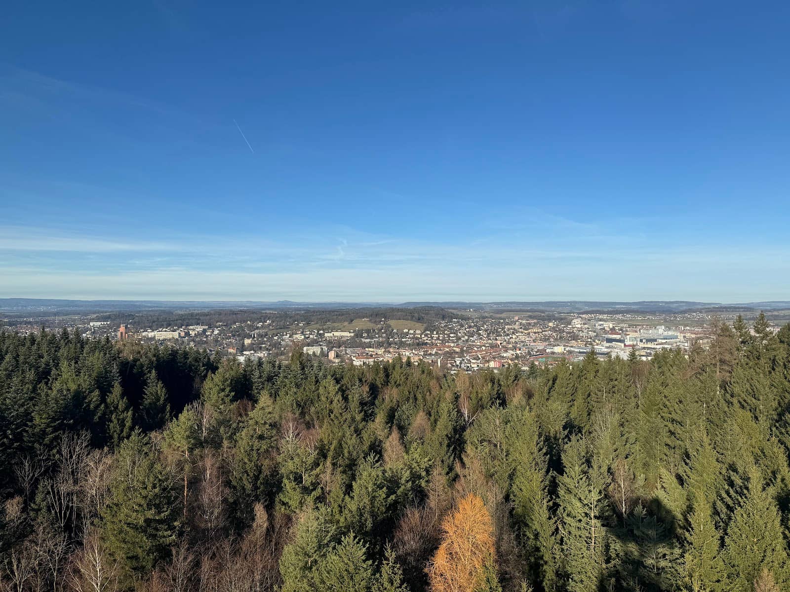 Picnic and Fire Pits