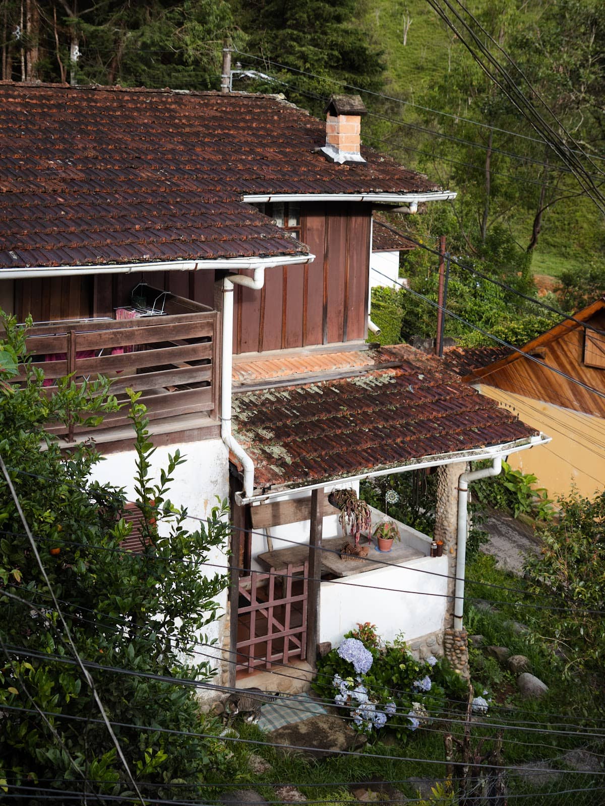 Cachoeira dos Macacos