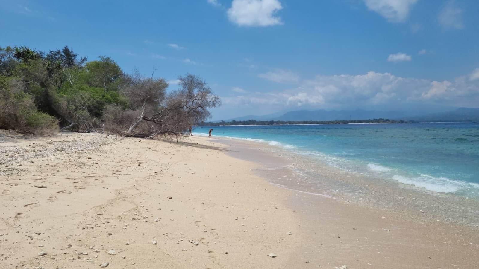 Island Exploration by Bike