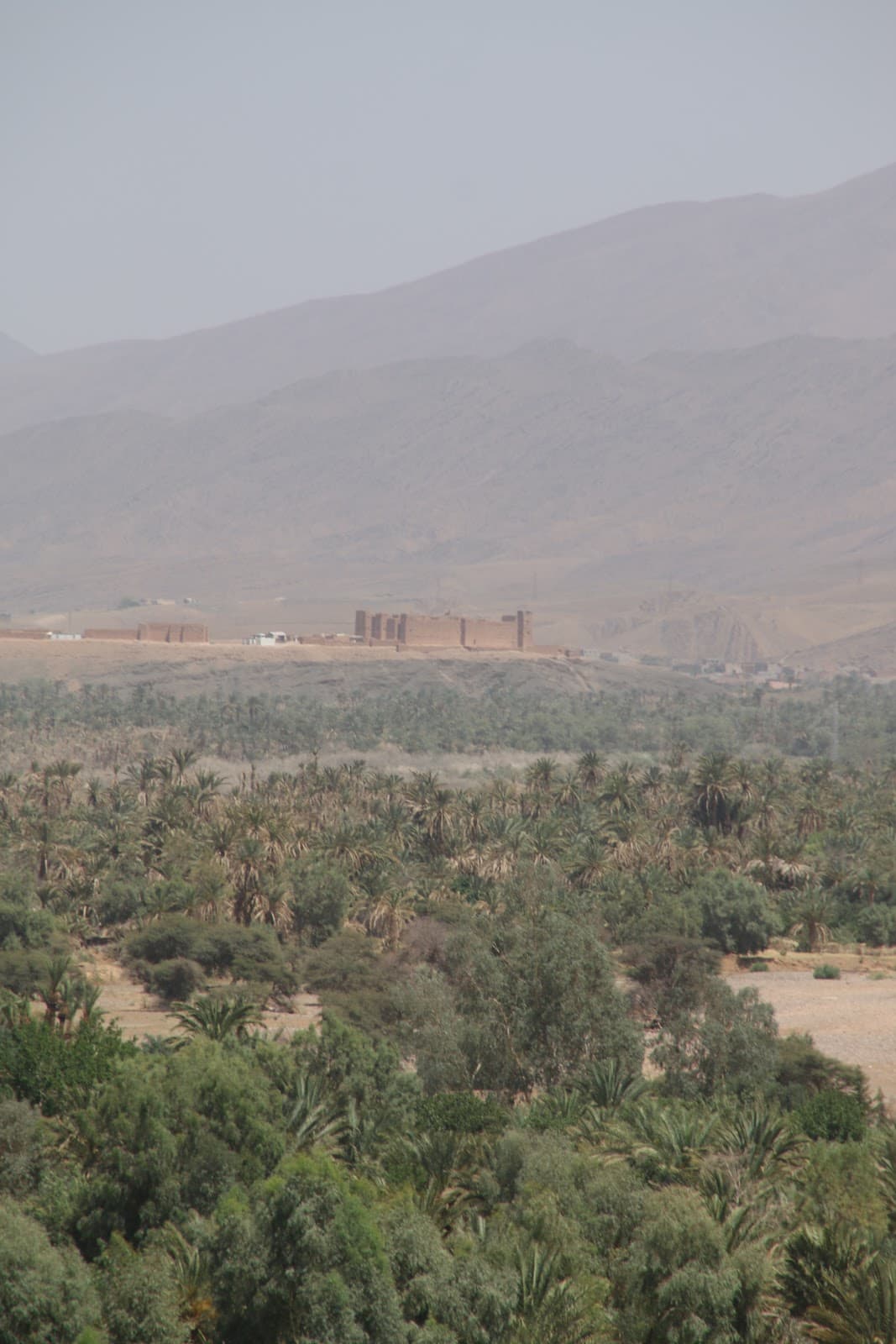 Draa Valley Palm Groves - Image 1