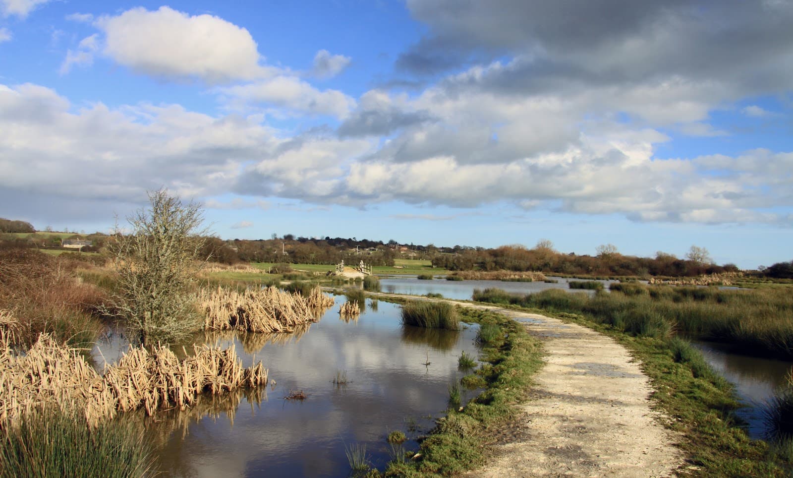 Brading Marshes RSPB Isle of Wight - Image 1