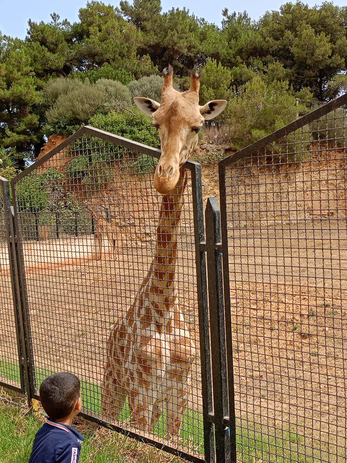 Ben Aknoun Zoo and Park - Image 1