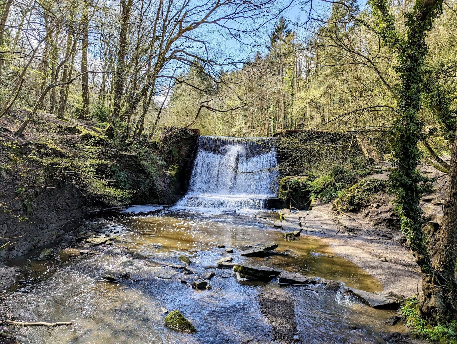 Wepre Park - Image 1