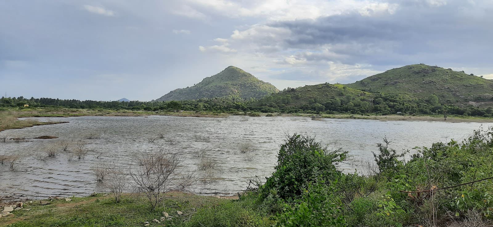 Otteri Lake, Vellore - Image 1