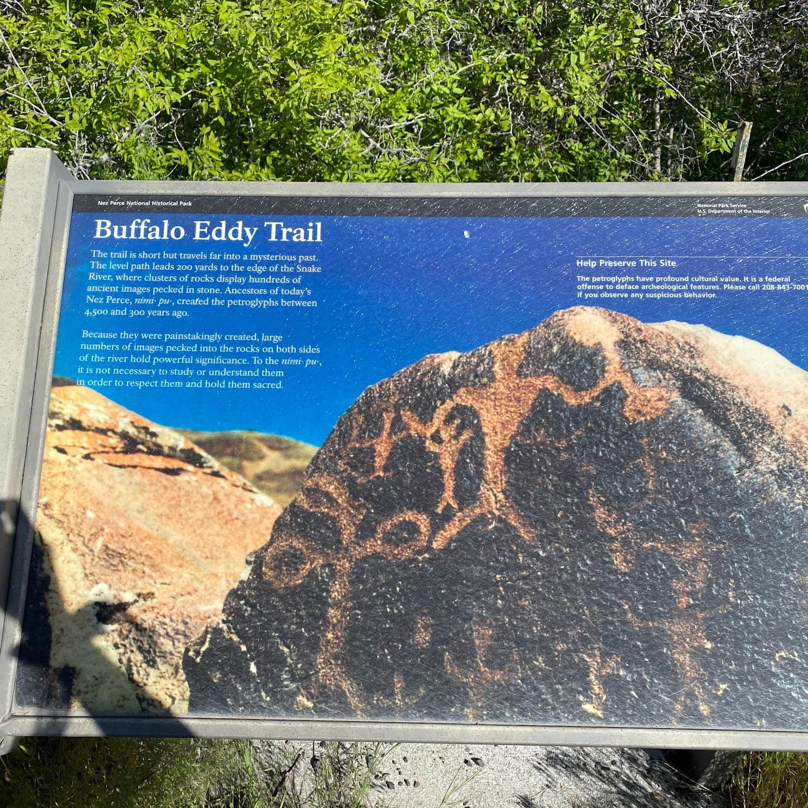 Buffalo Eddy Petroglyphs - Image 1