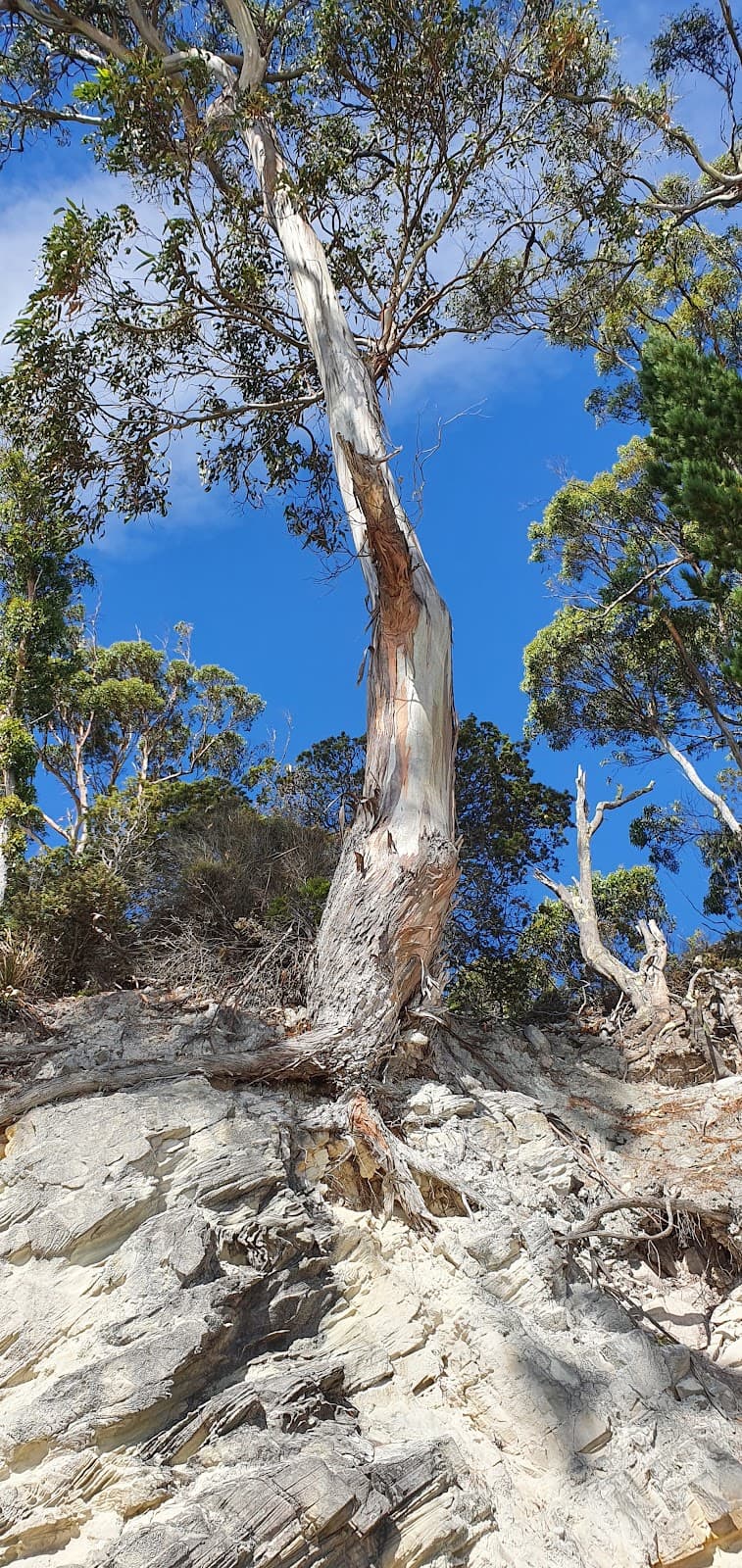 Adventure Bay - Image 1