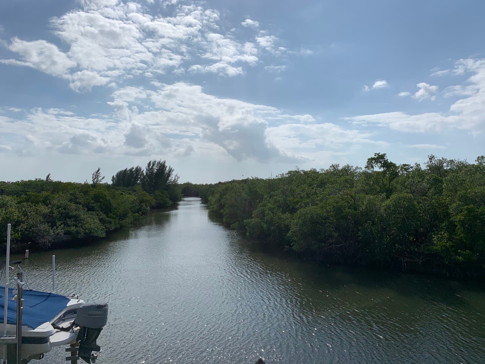 Pine Island St. James City - Image 1