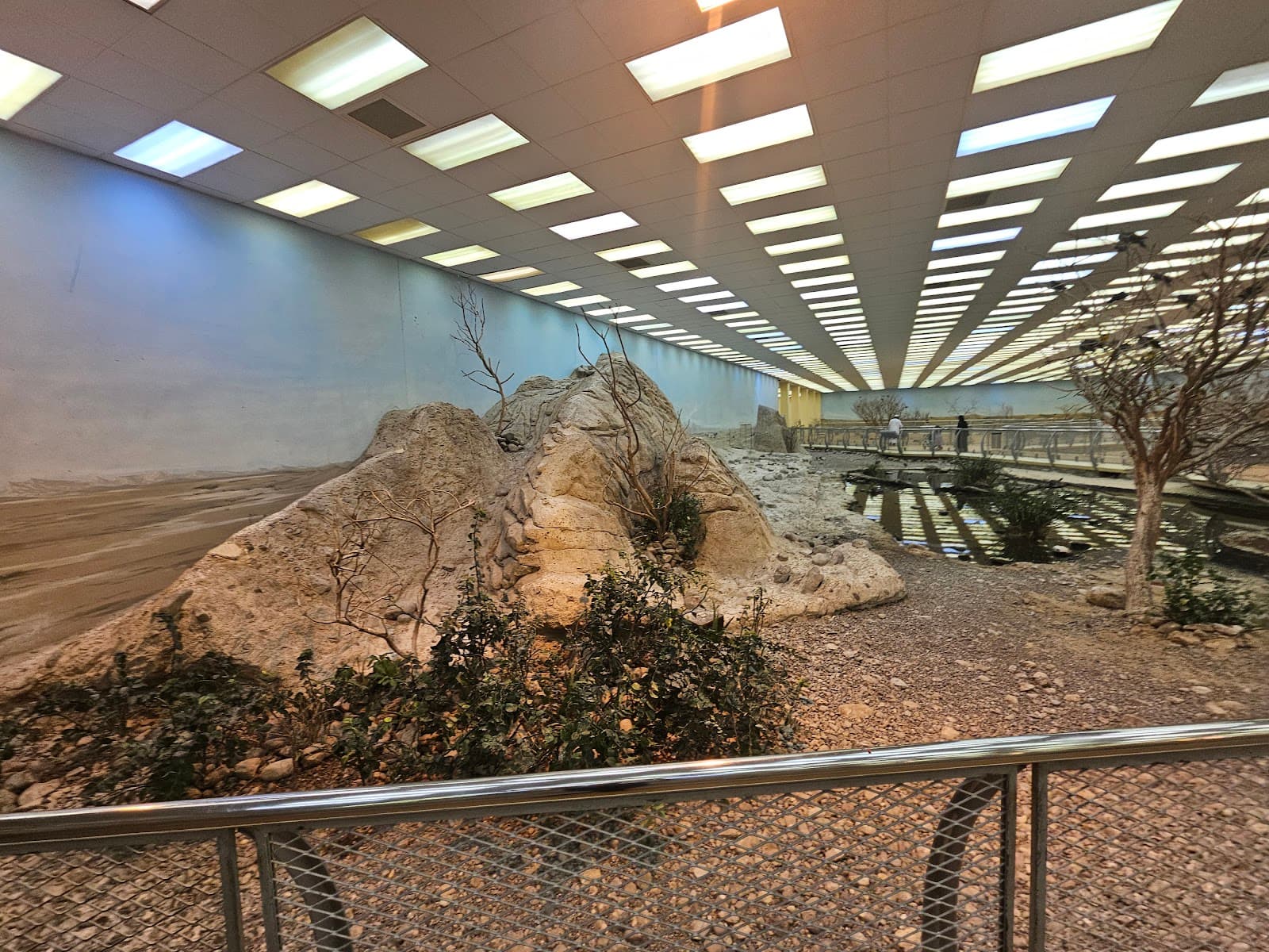 Sharjah Desert Park - Image 1