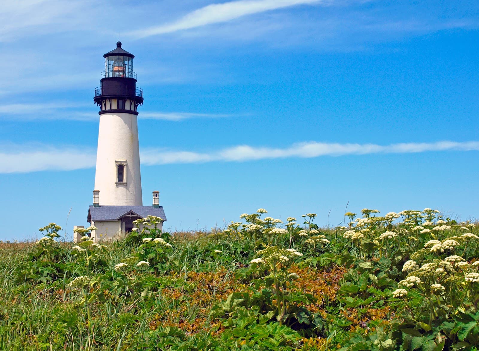 Yaquina Head Outstanding Natural Area - Image 1