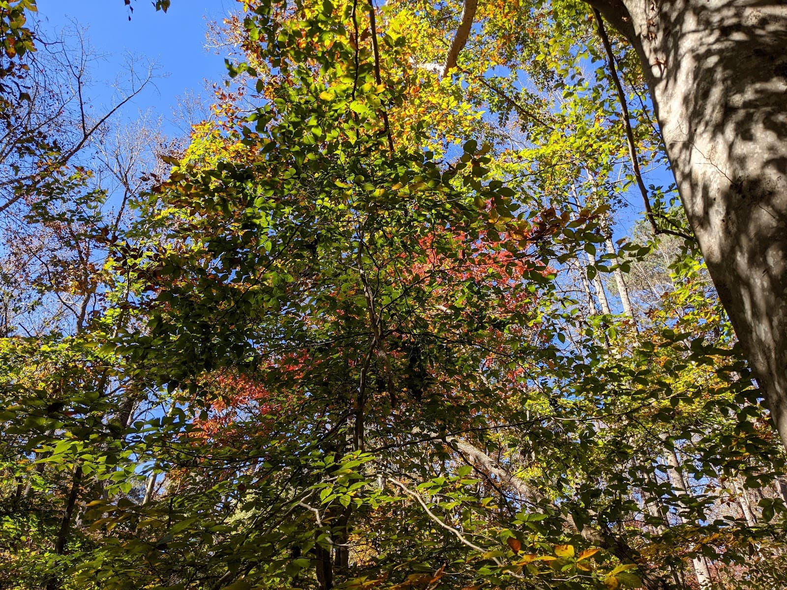 Nature Garden Trail - Image 1