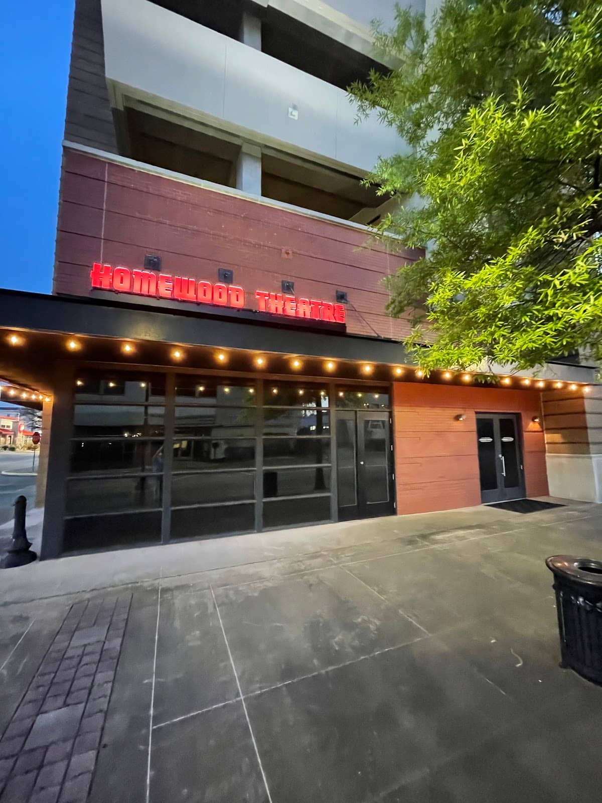 Live Music Performances