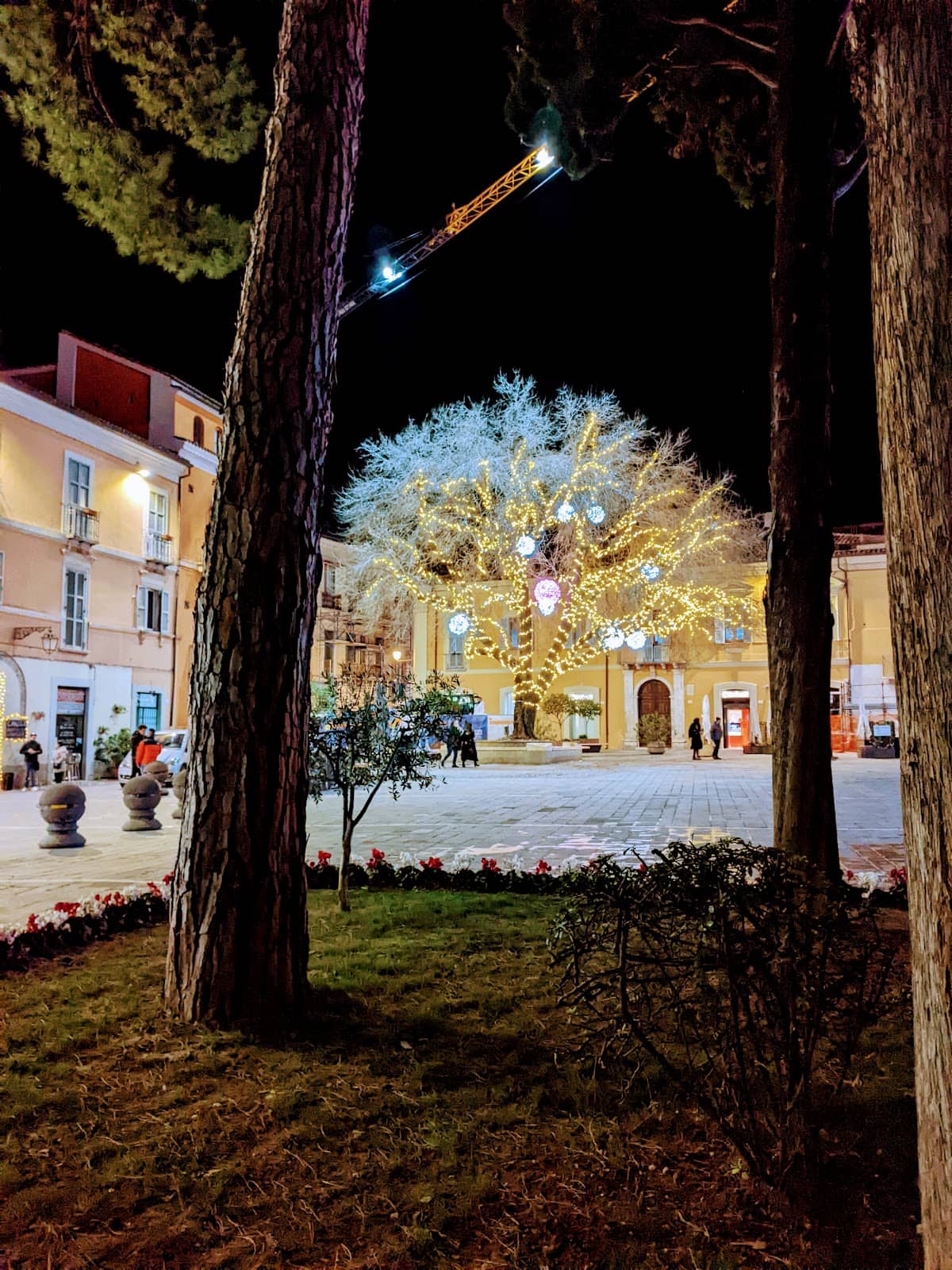 Local Cafes & Ambiance