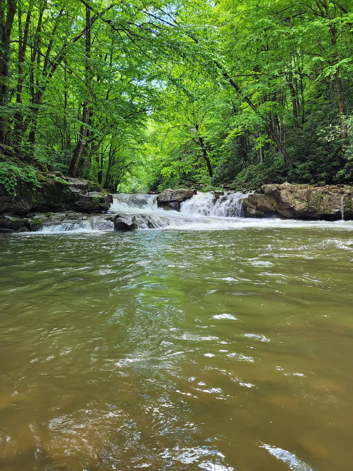 Trout Fishing Opportunities