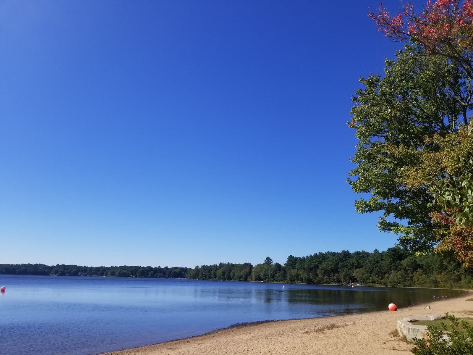 Lake Massapoag - Image 1