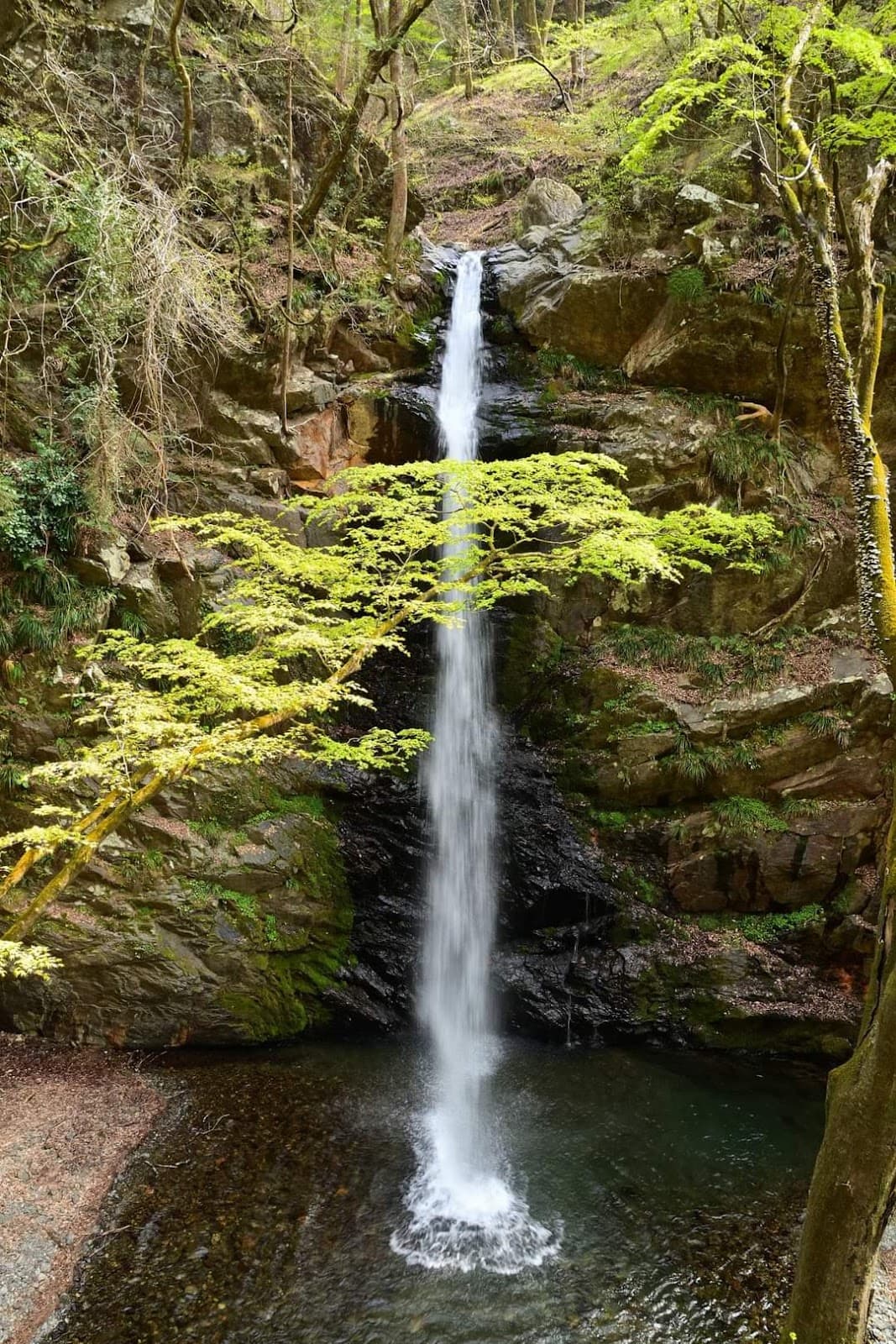 Fudo Falls (Minakami) - Image 1