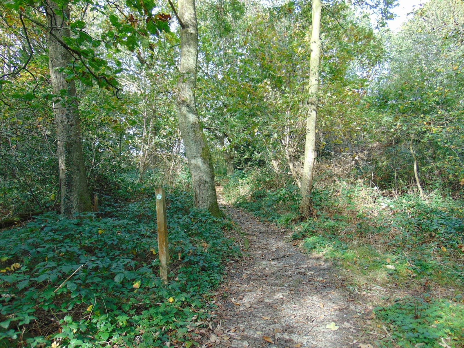 Bramley Bank Nature Reserve - Image 1