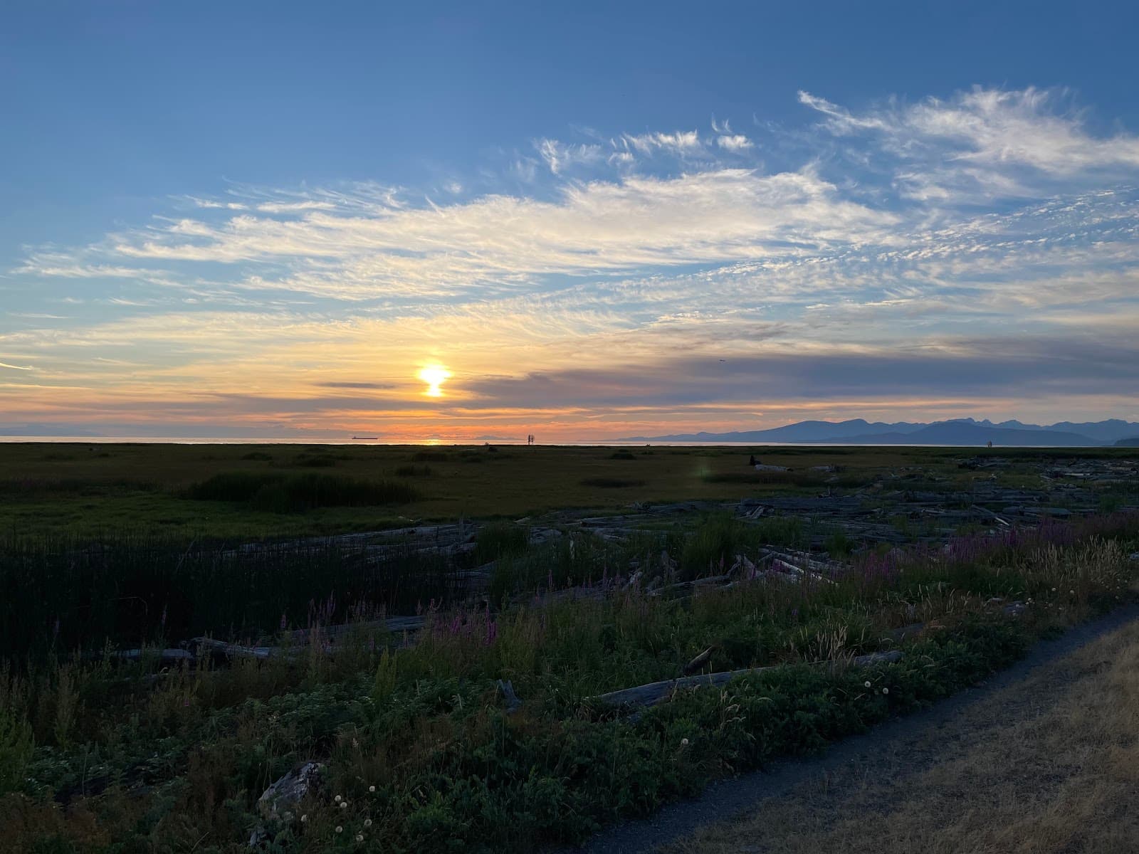 Sturgeon Bank Wildlife Management Area - Image 1