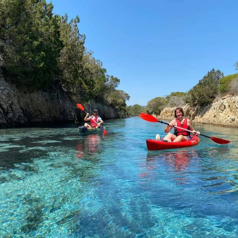 Wildlife Observation Point