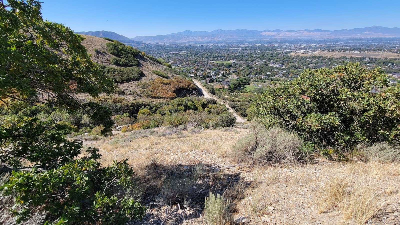Orson Smith Park Playground