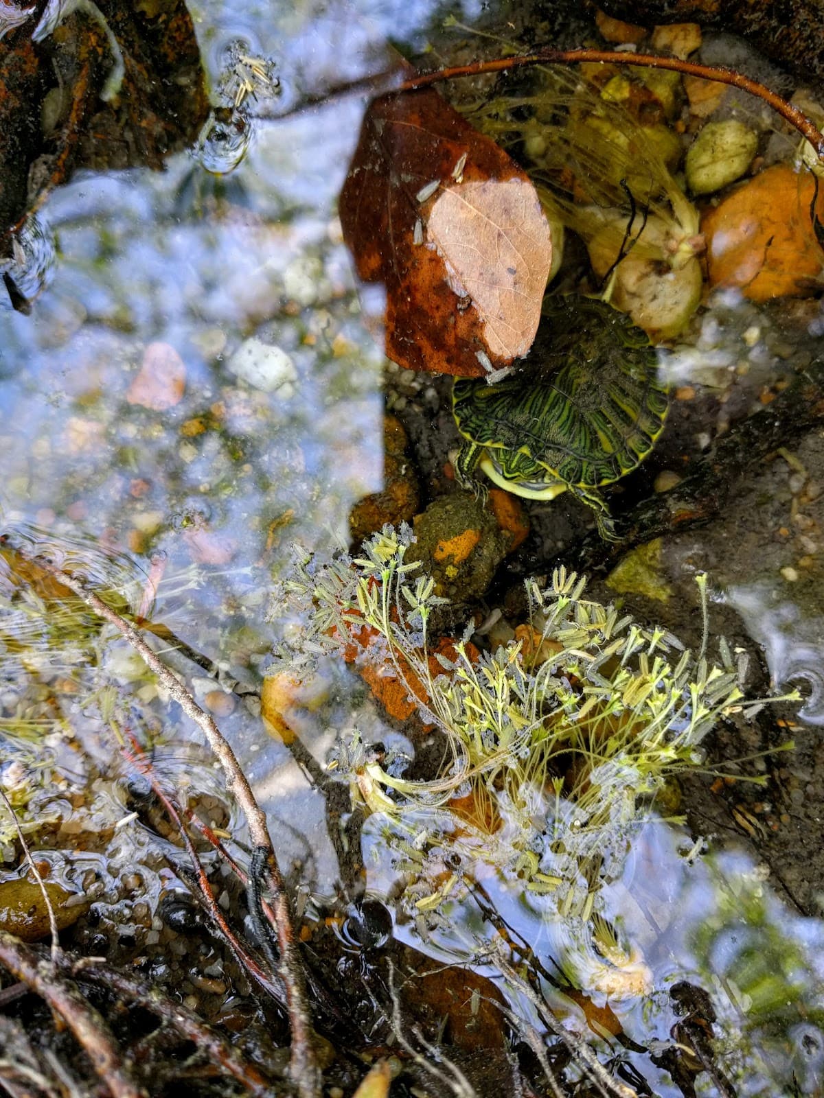 Lagoon Park - Image 1