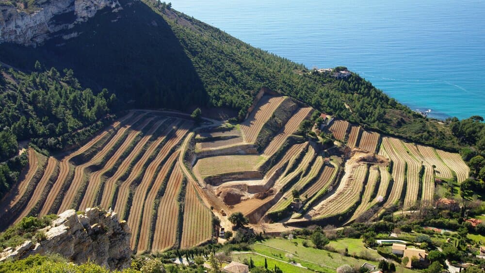 Clos Sainte-Magdeleine Cassis - Image 1