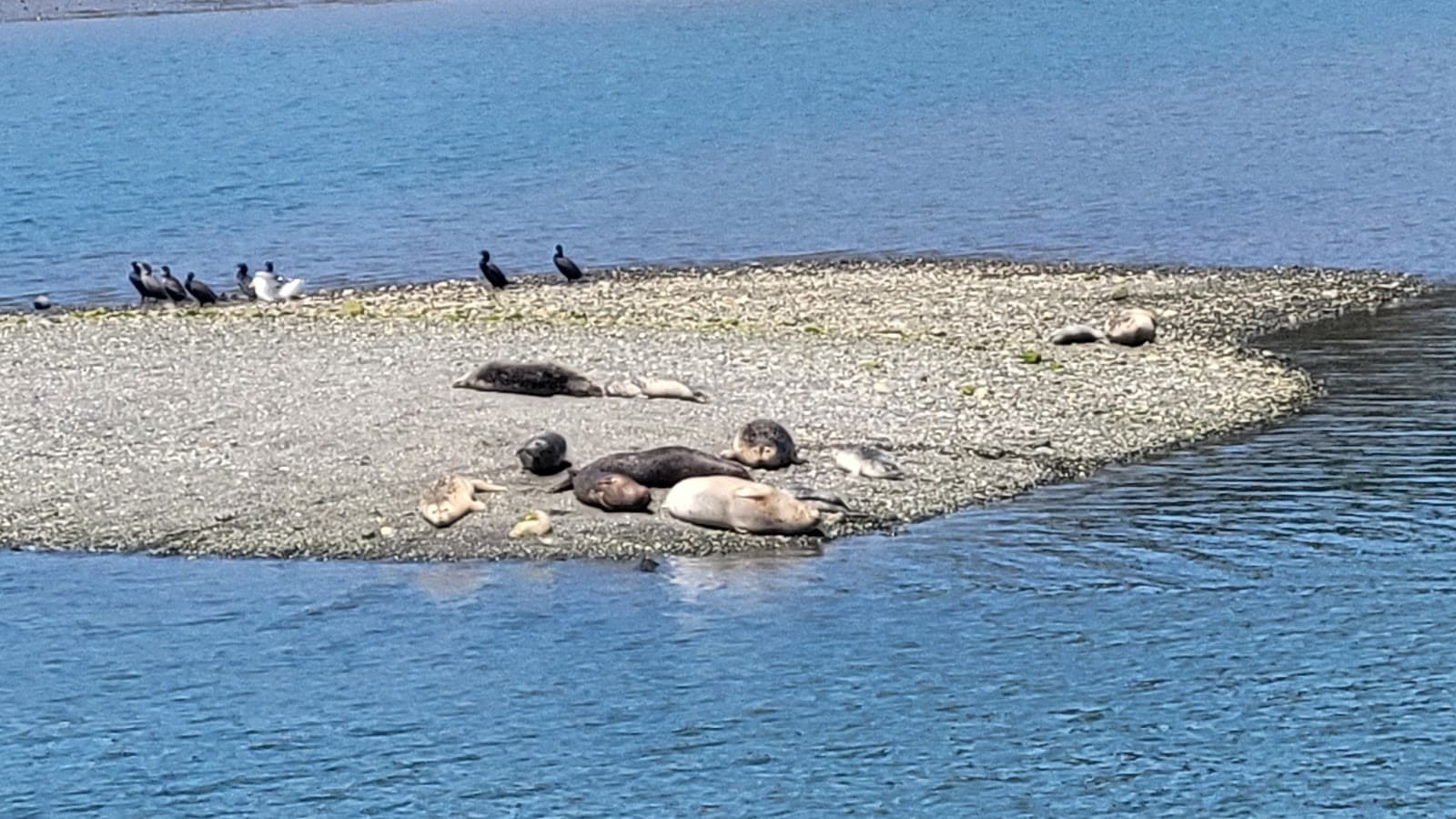 South Beach (Gold Beach) - Image 1