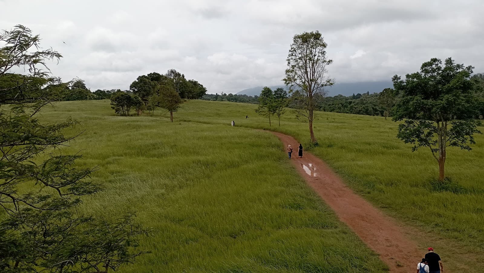 Nong Pak Chi Wildlife Observation Tower - Image 1