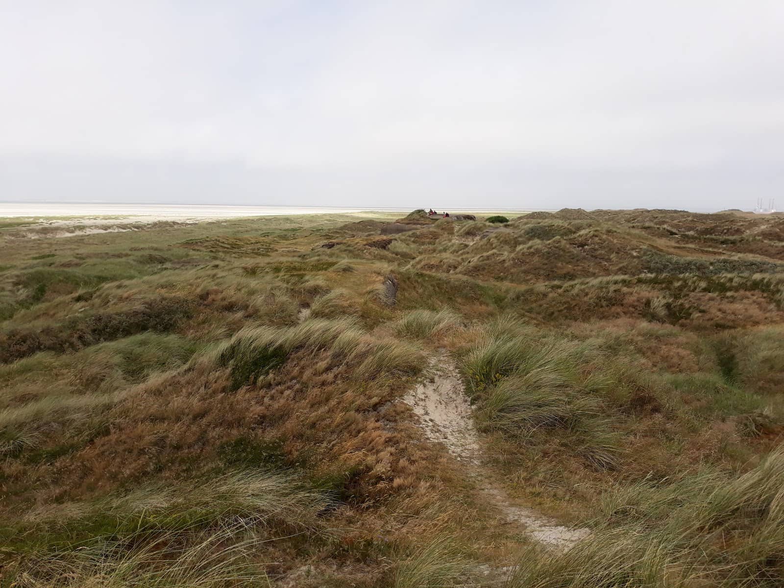 Nordspidsen Bunker Complex