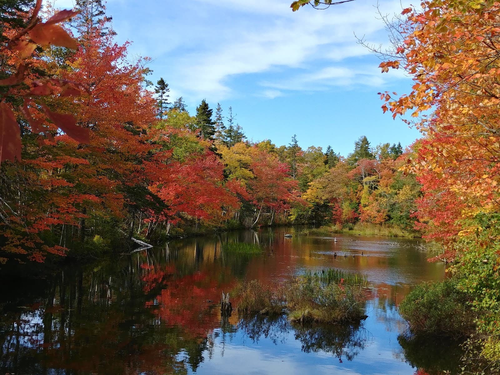 Shubie Park - Image 1