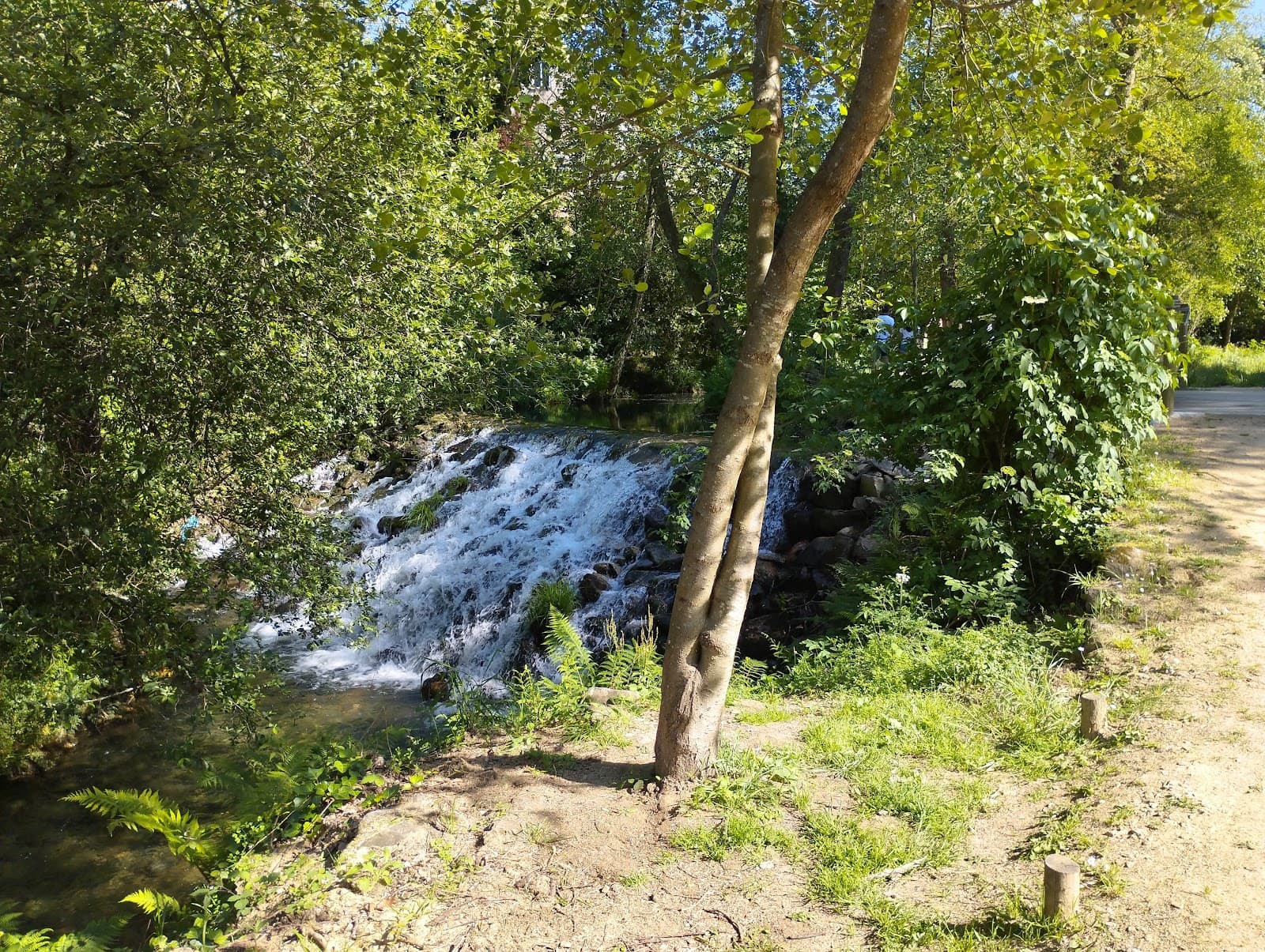 Parque das Termas de São Jorge - Image 1